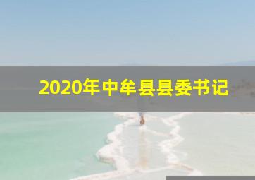 2020年中牟县县委书记