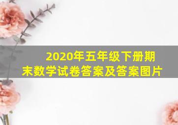 2020年五年级下册期末数学试卷答案及答案图片