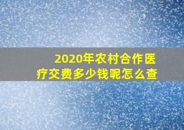 2020年农村合作医疗交费多少钱呢怎么查