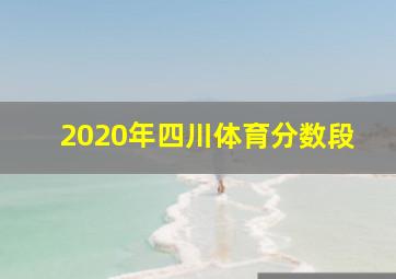 2020年四川体育分数段