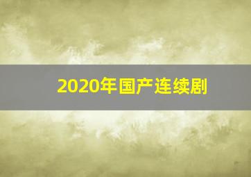 2020年国产连续剧