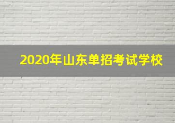 2020年山东单招考试学校