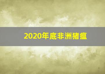 2020年底非洲猪瘟