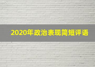 2020年政治表现简短评语