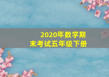 2020年数学期末考试五年级下册