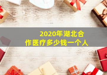 2020年湖北合作医疗多少钱一个人