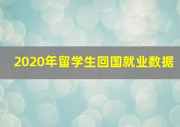 2020年留学生回国就业数据