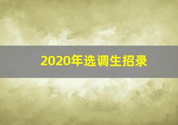 2020年选调生招录