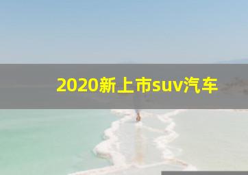 2020新上市suv汽车