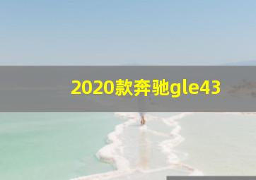 2020款奔驰gle43