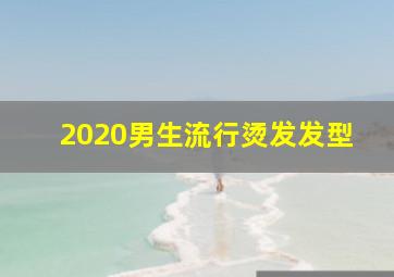 2020男生流行烫发发型