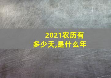 2021农历有多少天,是什么年