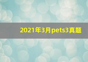 2021年3月pets3真题