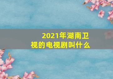 2021年湖南卫视的电视剧叫什么