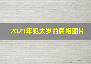 2021年犯太岁的属相图片