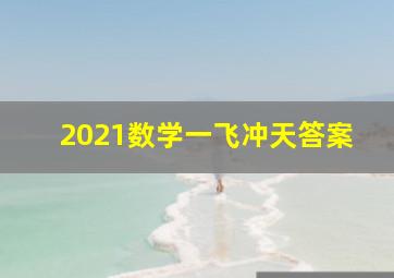 2021数学一飞冲天答案