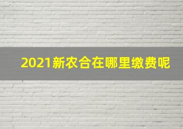 2021新农合在哪里缴费呢