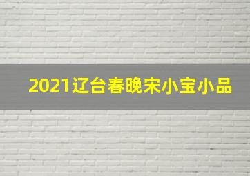 2021辽台春晚宋小宝小品