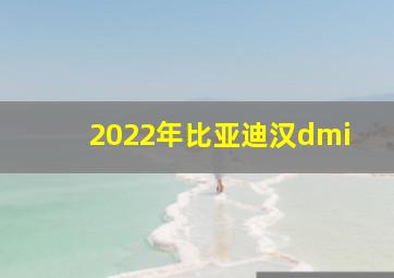 2022年比亚迪汉dmi