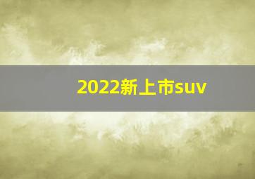 2022新上市suv