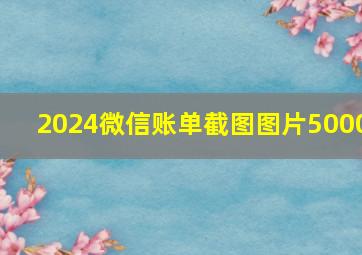 2024微信账单截图图片5000