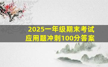 2025一年级期末考试应用题冲刺100分答案