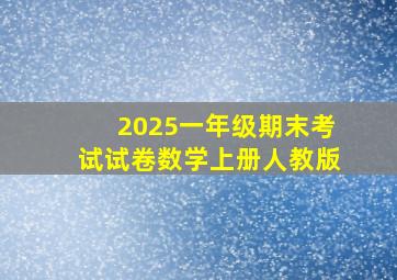 2025一年级期末考试试卷数学上册人教版