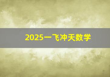 2025一飞冲天数学