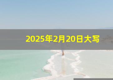 2025年2月20日大写