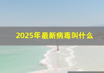 2025年最新病毒叫什么