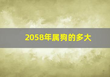 2058年属狗的多大