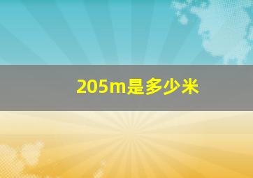 205m是多少米