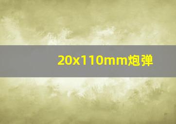 20x110mm炮弹