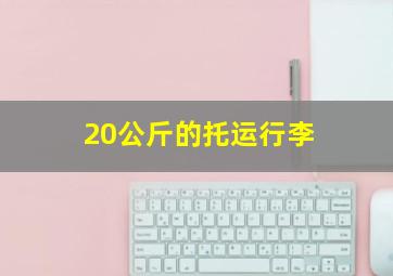 20公斤的托运行李