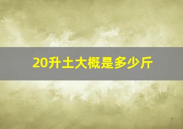 20升土大概是多少斤