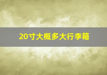 20寸大概多大行李箱