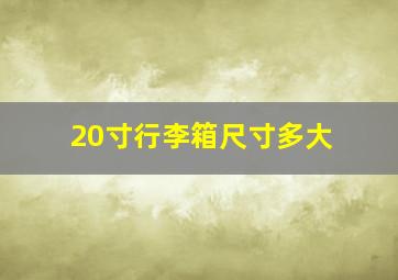 20寸行李箱尺寸多大