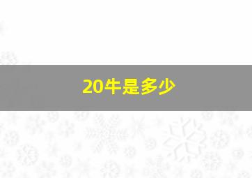 20牛是多少