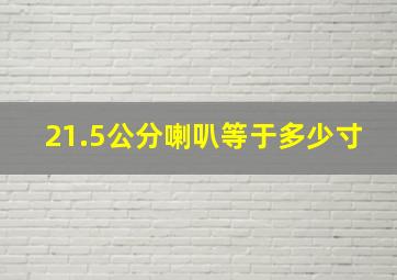 21.5公分喇叭等于多少寸