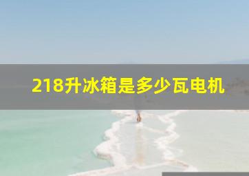 218升冰箱是多少瓦电机