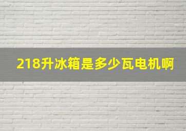 218升冰箱是多少瓦电机啊