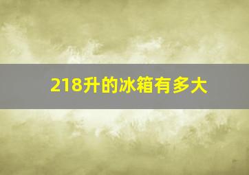 218升的冰箱有多大