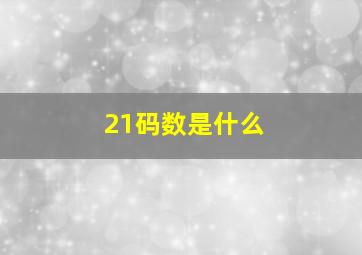 21码数是什么