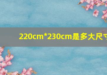 220cm*230cm是多大尺寸