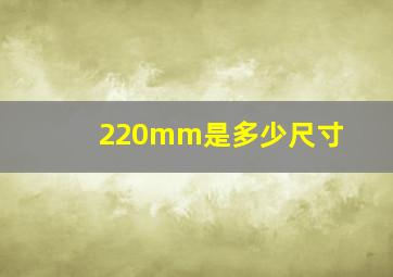 220mm是多少尺寸