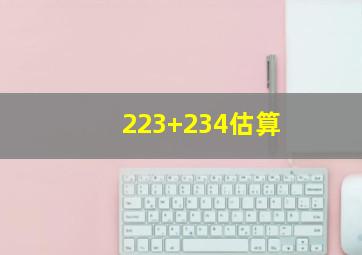 223+234估算