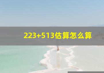 223+513估算怎么算