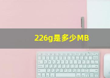 226g是多少MB