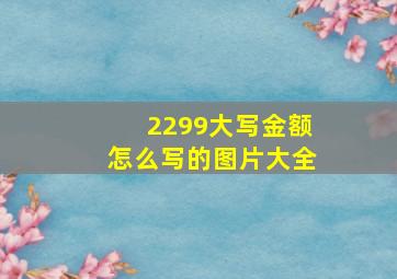 2299大写金额怎么写的图片大全