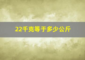 22千克等于多少公斤